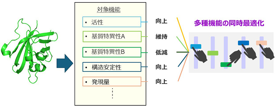 図1：aiProtein®：多種類の機能の同時最適化